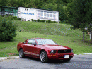 Ford Mustang, foto 79