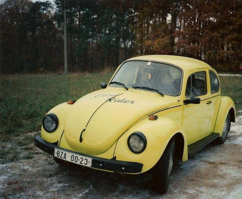 Volkswagen Brouk (Typ 1)
