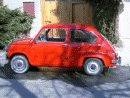 Fiat 600, foto 31