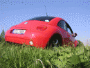 Volkswagen Beetle, foto 4