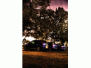 Ford Fiesta, foto 238