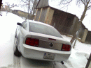Ford Mustang, foto 118