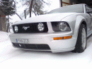 Ford Mustang, foto 119