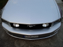 Ford Mustang, foto 144