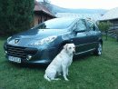 Peugeot 307, foto 46