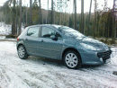 Peugeot 307, foto 110