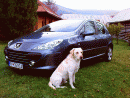 Peugeot 307, foto 175