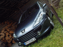 Peugeot 307, foto 246
