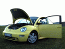 Volkswagen Beetle, foto 10