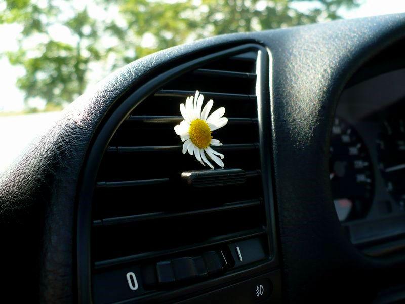 BMW řada 3, foto 207