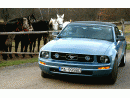 Ford Mustang, foto 10