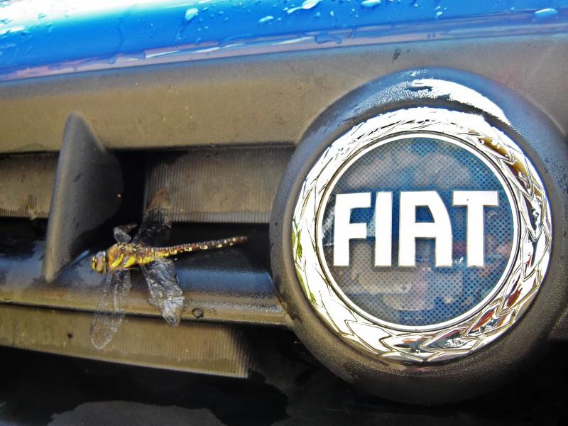Fiat Dobl