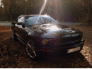 Ford Mustang, foto 1