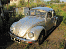 Volkswagen Brouk (Typ 1), foto 1