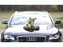 Audi A4, foto 23