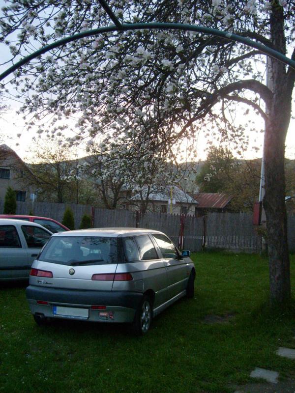 Alfa Romeo 145