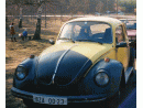 Volkswagen Brouk (Typ 1), foto 2