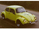 Volkswagen Brouk (Typ 1), foto 1