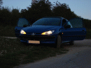 Peugeot 206, foto 1