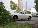 Jaguar Daimler, foto 31