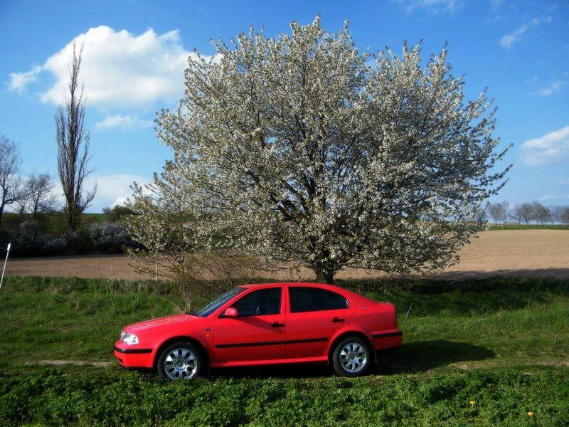 koda Octavia