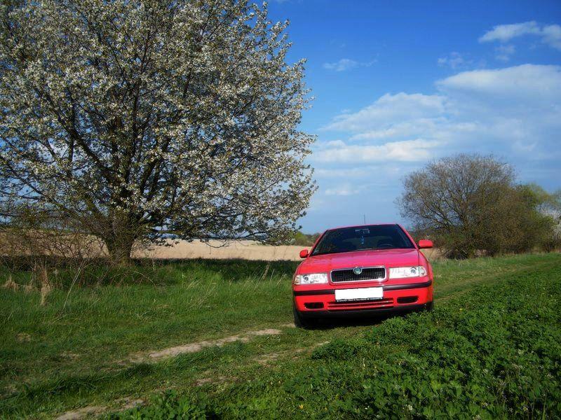 koda Octavia