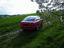 koda Octavia, foto 105