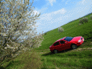 koda Octavia, foto 100