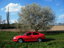 koda Octavia, foto 101