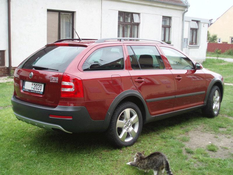 koda Octavia