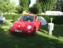 Volkswagen Beetle, foto 23