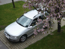 Opel Vectra, foto 24
