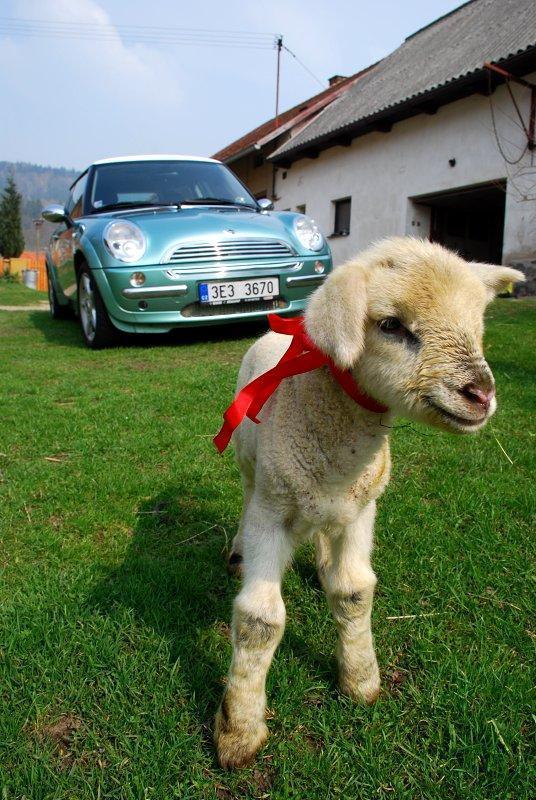 Mercedes-Benz B