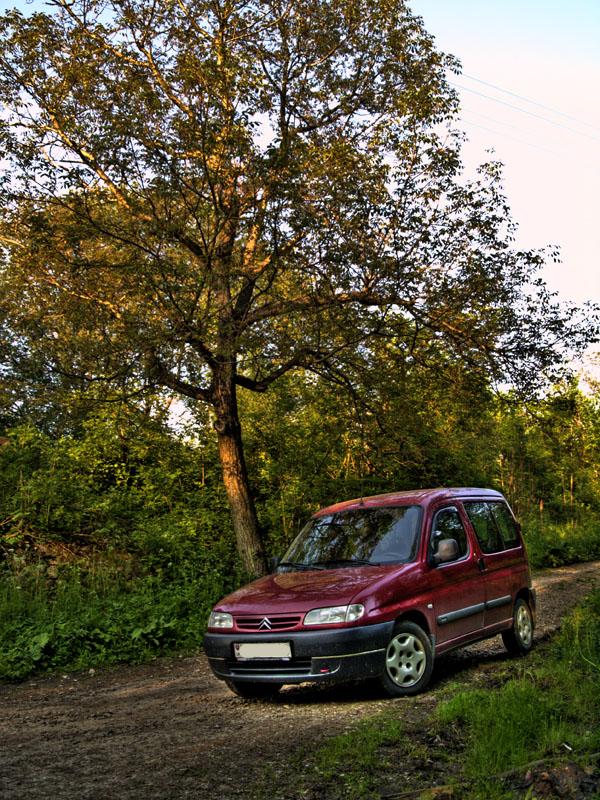 Citron Berlingo