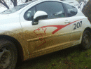 Peugeot 207, foto 34