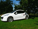 Peugeot 207, foto 46