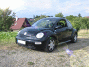Volkswagen Beetle, foto 44