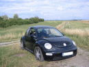 Volkswagen Beetle, foto 45