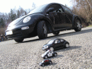 Volkswagen Beetle, foto 42