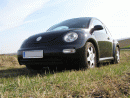 Volkswagen Beetle, foto 39