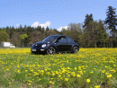 Volkswagen Beetle, foto 2