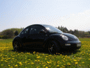 Volkswagen Beetle, foto 4