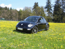 Volkswagen Beetle, foto 1