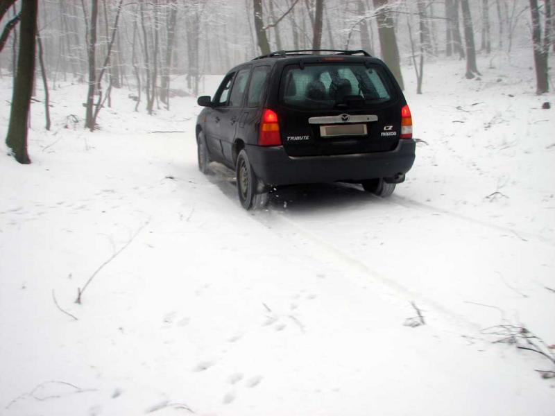 Mazda Tribute