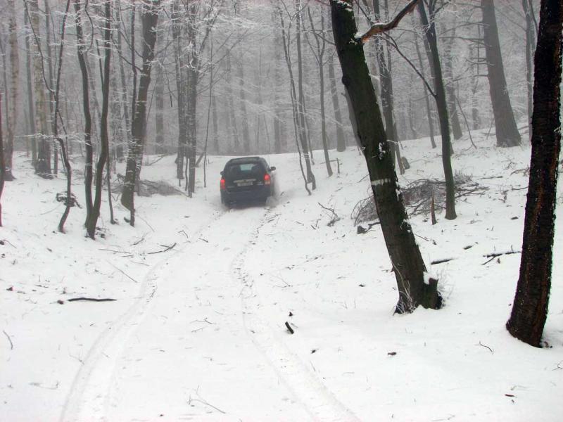 Mazda Tribute