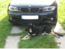BMW řada 1, foto 14