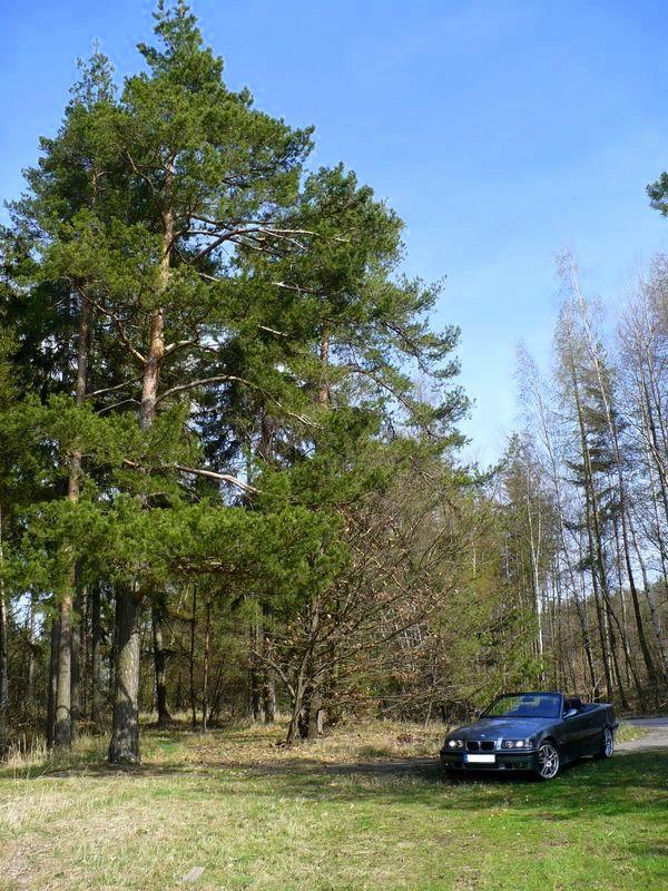 BMW ada 3