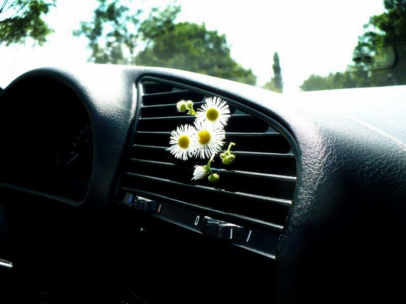 BMW ada 3
