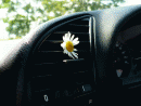 BMW ada 3, foto 207