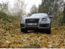 Audi Q5, foto 23